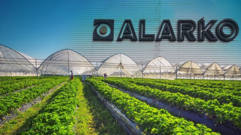 Turkish Alarko allocates $150 million to build greenhouse park in Shymkent