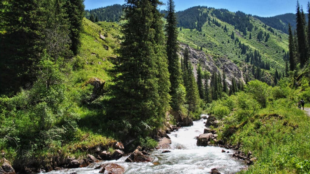 «Бизнес страдает, туризм страдает». Тургеньское ущелье закрыто из-за селей уже месяц