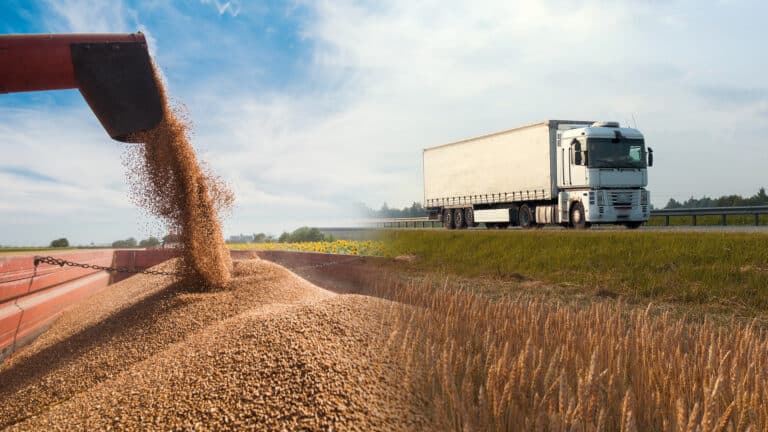 Казахстан полностью запретит ввоз пшеницы в страну. Несмотря на предыдущие ограничения, ее импорт из РФ превысил 1 млн тонн
