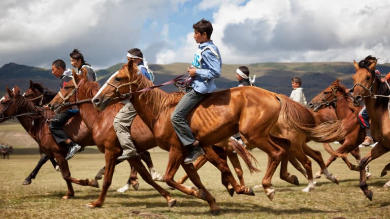Kazakhstan wants to restore its traditional horse breeds