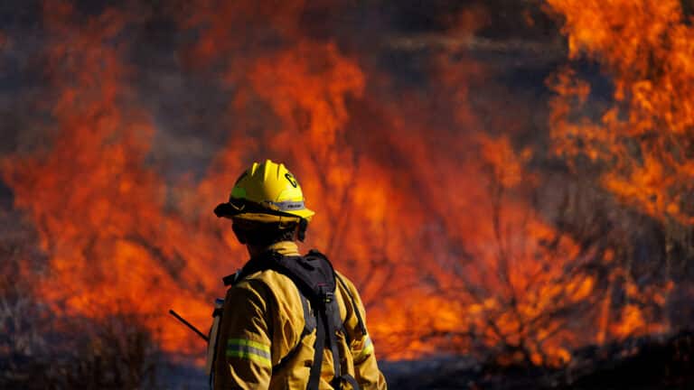Из-за сильного природного пожара тысячи жителей Калифорнии остались без жилья. Есть пострадавшие 
