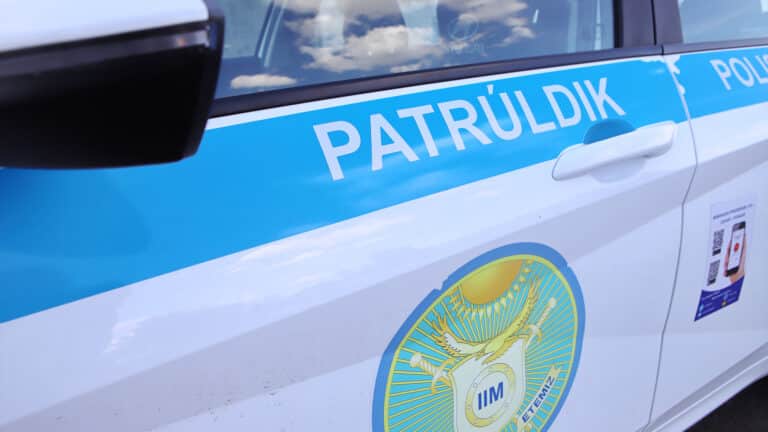 Разрешить полицейским «скрытно» патрулировать дороги предложили в МВД Казахстана 