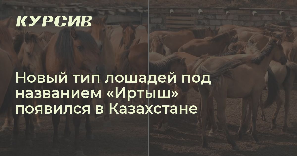Какой новый тип лошадей появился в Казахстане