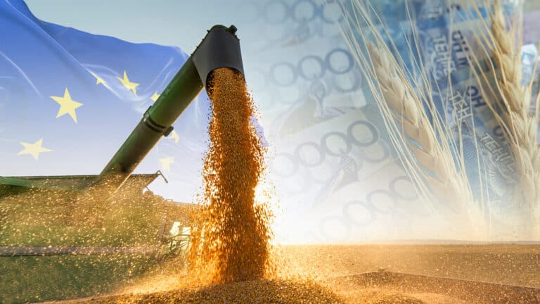 Kazakhstan hopes to boost grain exports to Europe amid sanctions against Russia