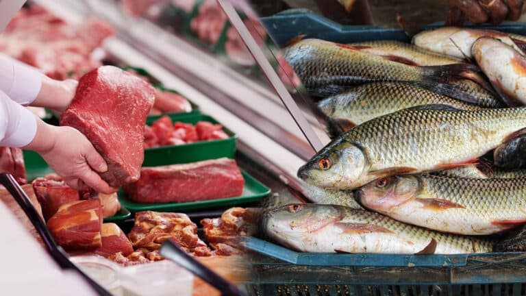 Kazakhstan plans to export its meat and fish to Thailand