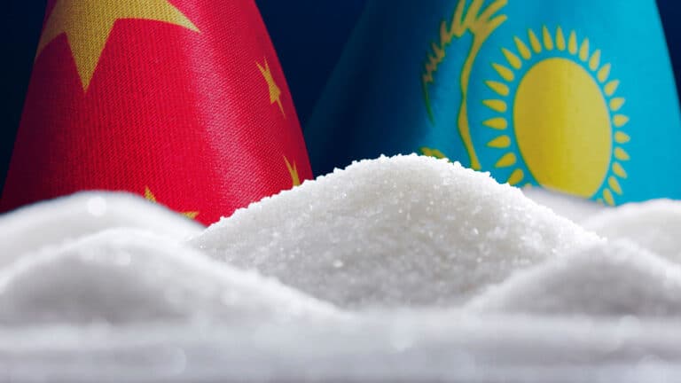 China invests in sugar substitute plant construction in Kazakhstan