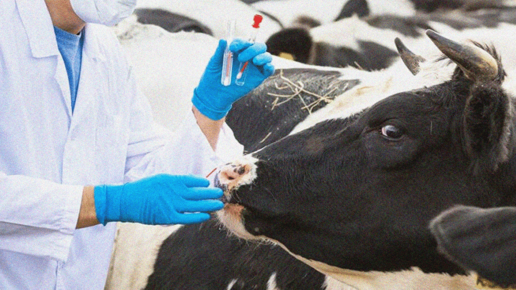 «Сібір күйдіргісіне» байланысты Алматы облысындағы Үлкен Ақсу ауылы карантинге жабылды