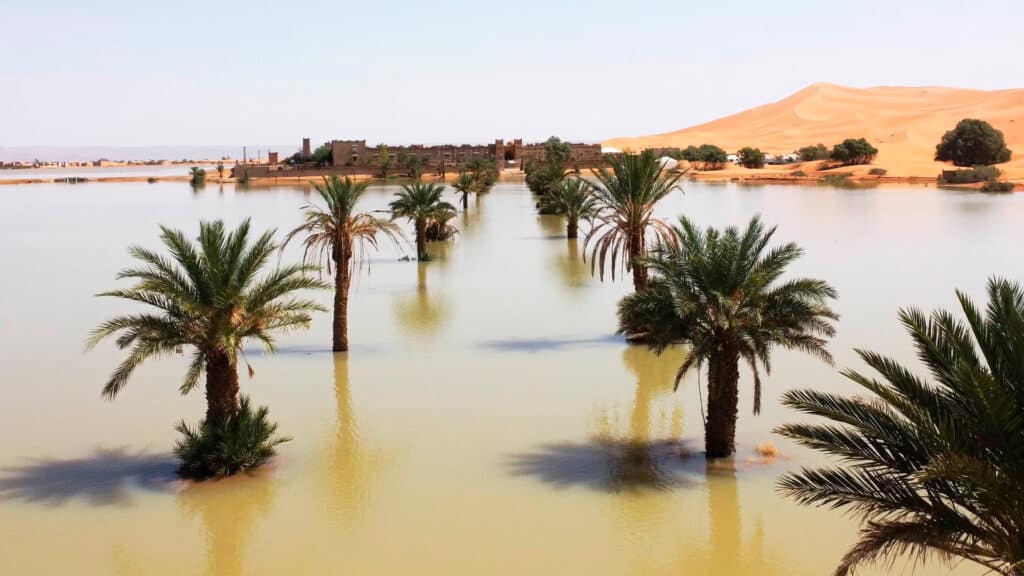 Самую сухую пустыню Сахару впервые за 50 лет затопило из-за аномального дождя — Фото