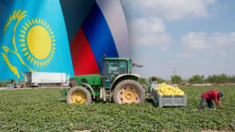 Russia wants Kazakhstan to stop exporting melons