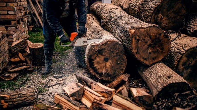 Солтүстік Қазақстанда құны 70 млрд теңге болатын ағаш зауыты салынады