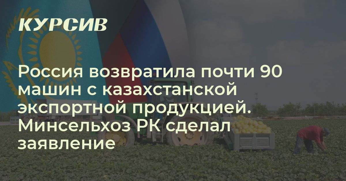 Россия возвратила почти 90 машин с казахстанской экспортной продукцией. Минсельхоз РК сделал заявление