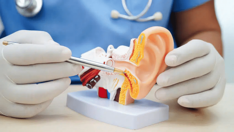 Hearing implant maker Envoy Medical rises on nine-month earnings