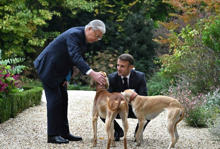 Tokayev and Macron stroll through Élysée Palace garden accompanied by Tazy dogs