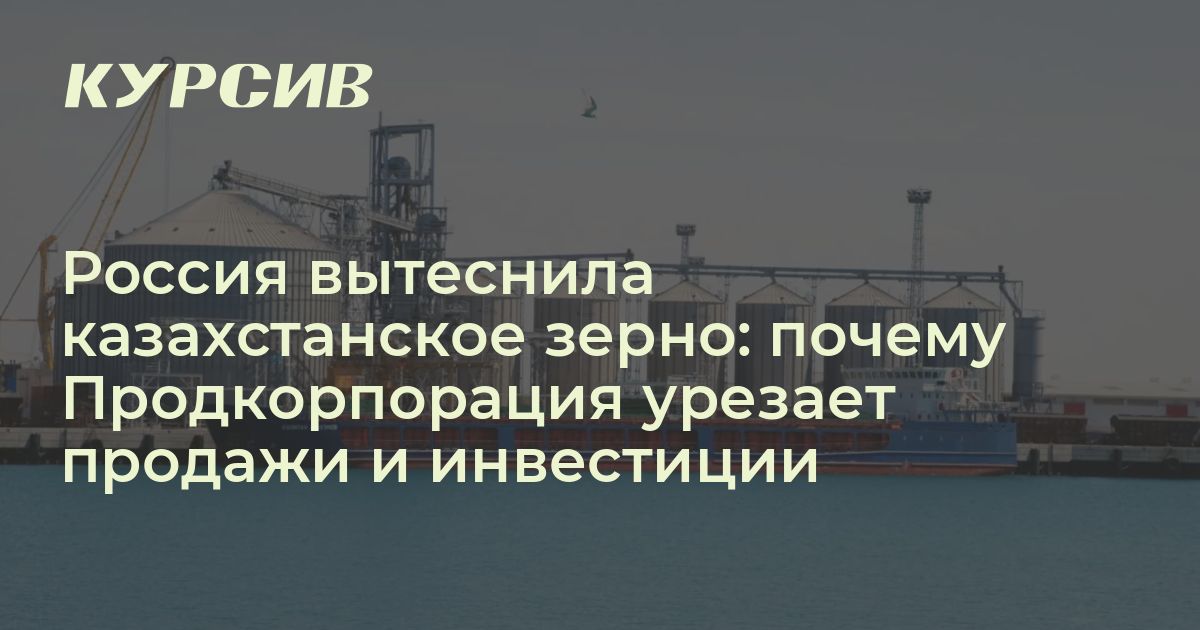 Россия вытеснила казахстанское зерно: почему Продкорпорация урезает продажи и инвестиции