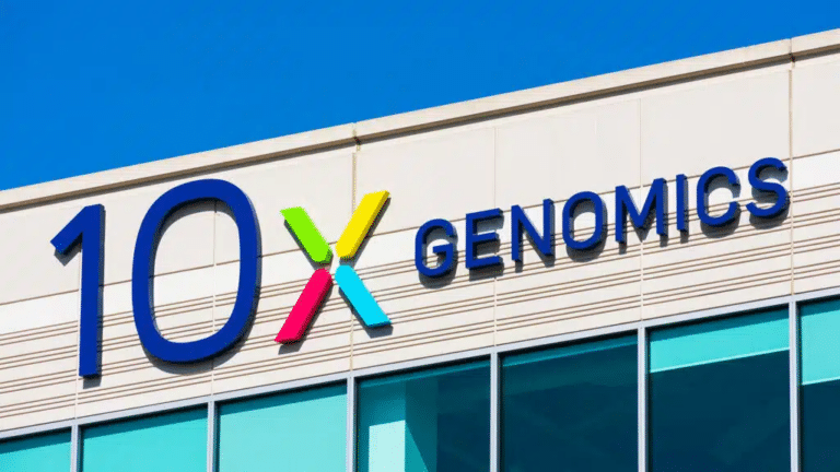 Cathie Wood builds up her stake in 'disappointing' 10x Genomics — The Motley Fool