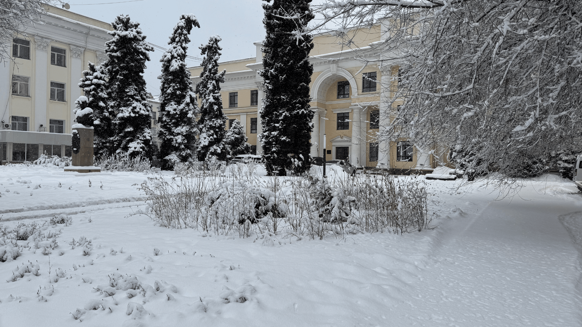 снег