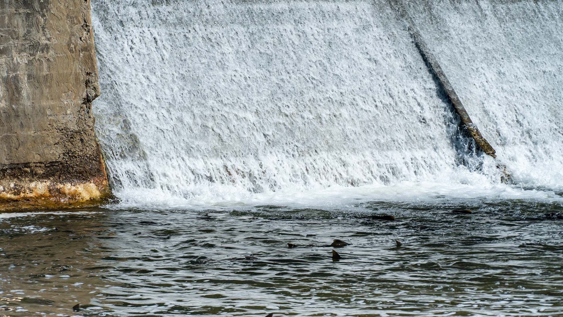 аварийное водохранилище