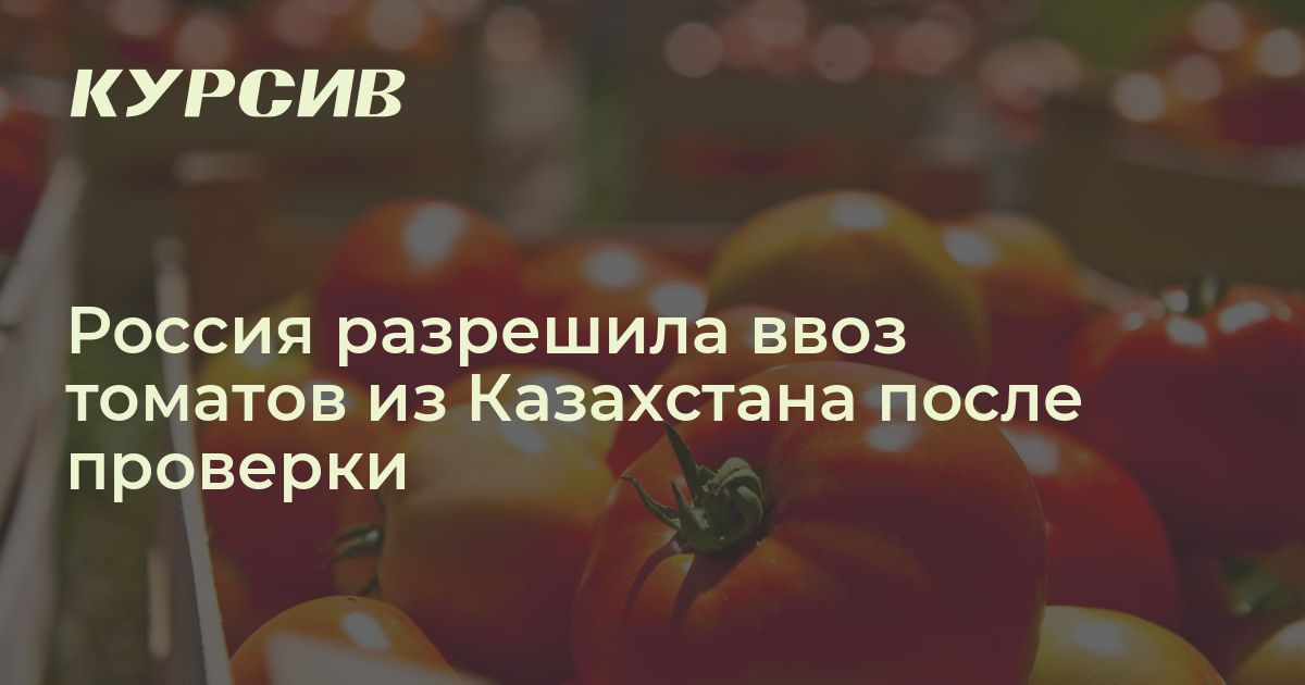 Россия разрешила ввоз томатов из Казахстана после проверки