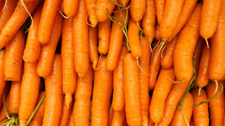 Қазақстан сәбізді экспорттауға тыйым салады