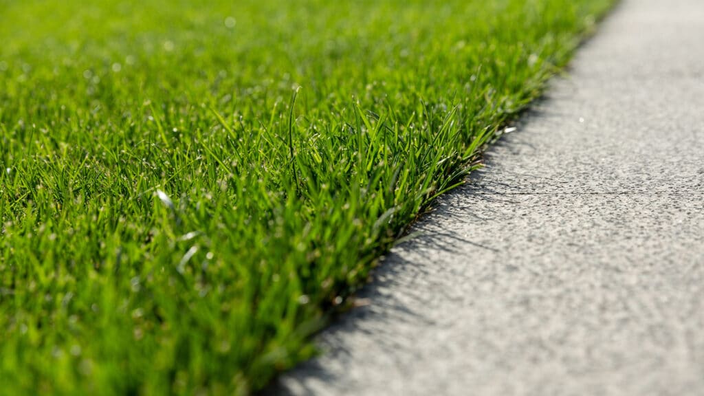 Спрос на траву в Казахстане вырос почти в 10 раз