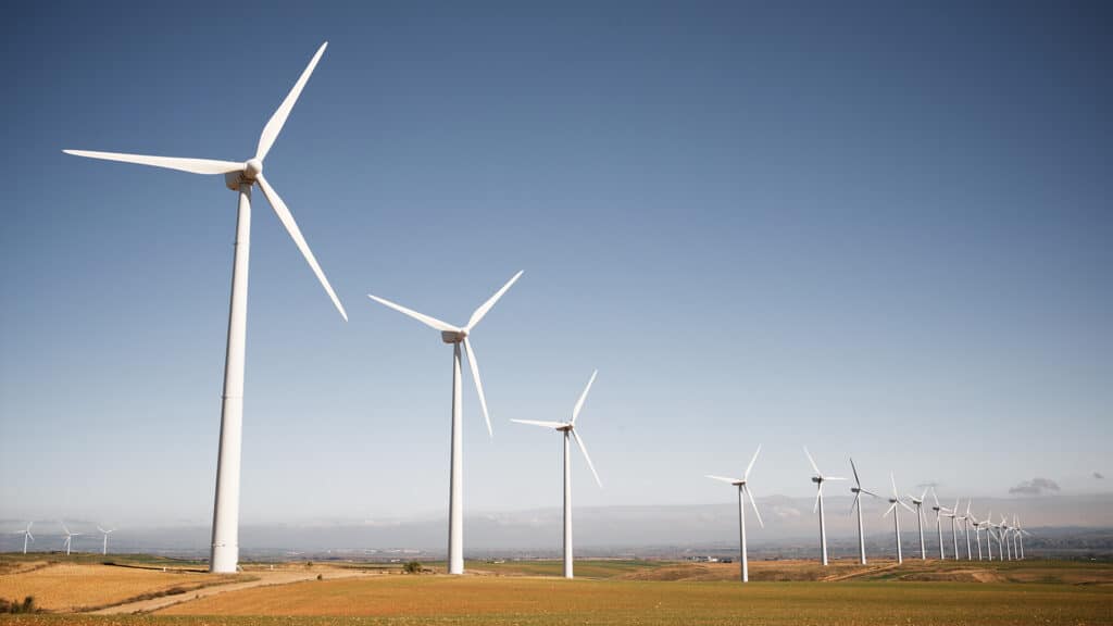 ОАЭ построит ветряную электростанцию в Казахстане