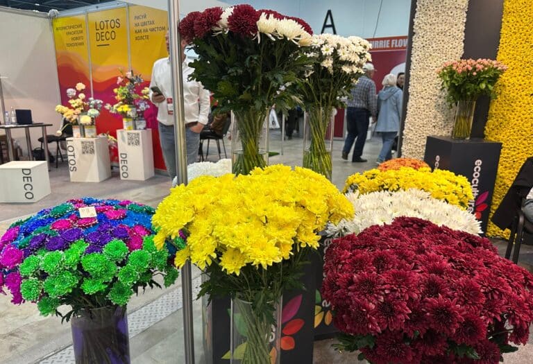 Алматыда 8 наурызда гүл сататын орында қалай алуға болады?