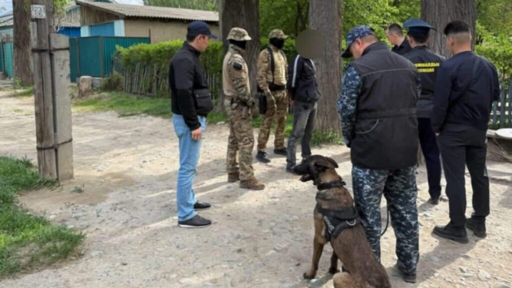 Алматы облысында 1 келіден астам есірткі тәркіленді