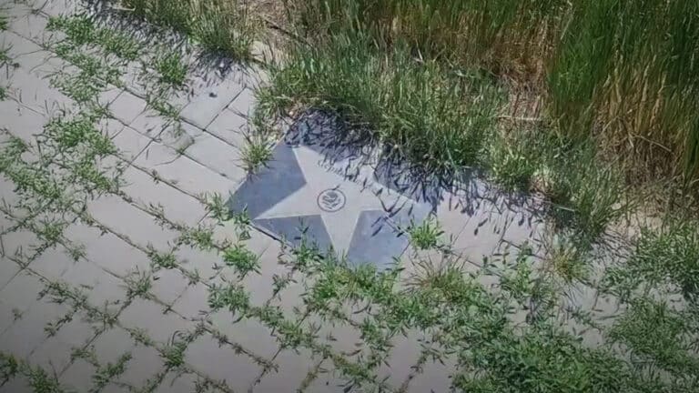 Аллея чемпионов Казахстана заросла сорняками в Караганде