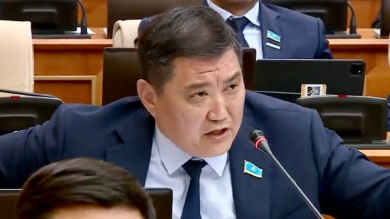 Олигархтар су қоймаларын қос-қостан иемденіп алған - депутат