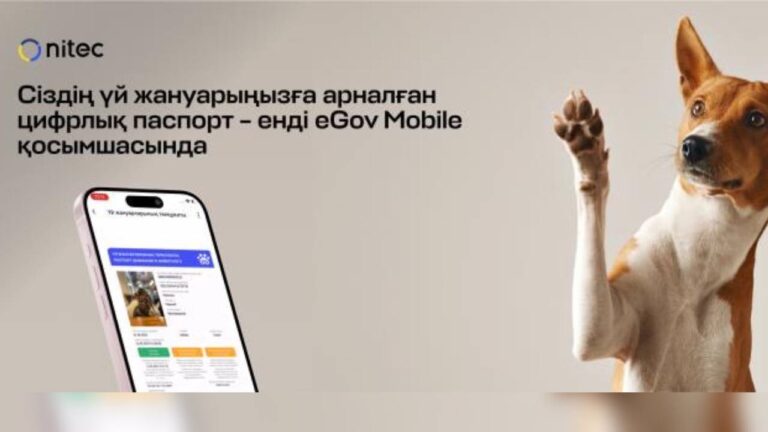 Үй жануарының цифрлық паспорты eGov Mobile қосымшасында пайда болды