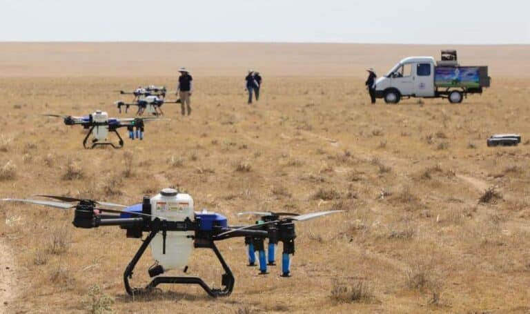 14 өңірде шегірткеге қарсы 464 мың гектар алқап өңделген