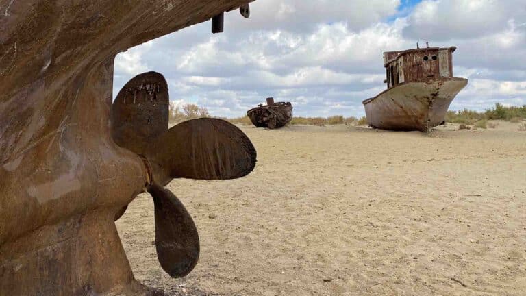 4-5 жылда Арал көлінің деңгейі 44 метрге дейін көтеріледі - Су министрлігі