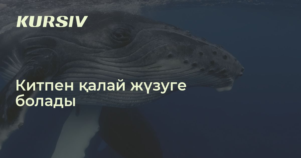 Орыс қыздың сиқырды соратын порно видеосы