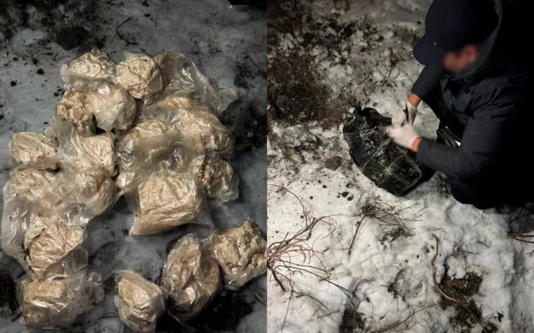 Казахстан, Россия и Кыргызстан ликвидировали международные наркоканалы