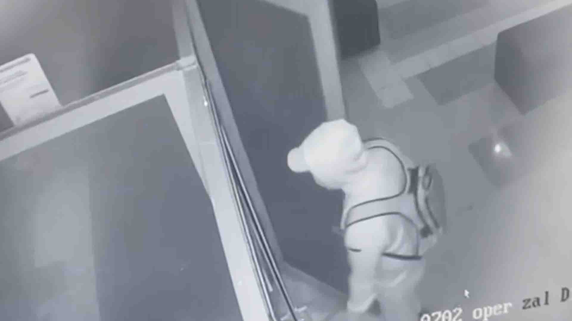Алматыда банк тонамақ болған күдікті ұсталып, кінәсін мойындаған / фото: скрин