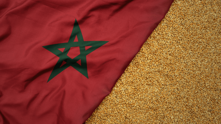 Kazakhstan resumes grain exports to Morocco after 17-year gap