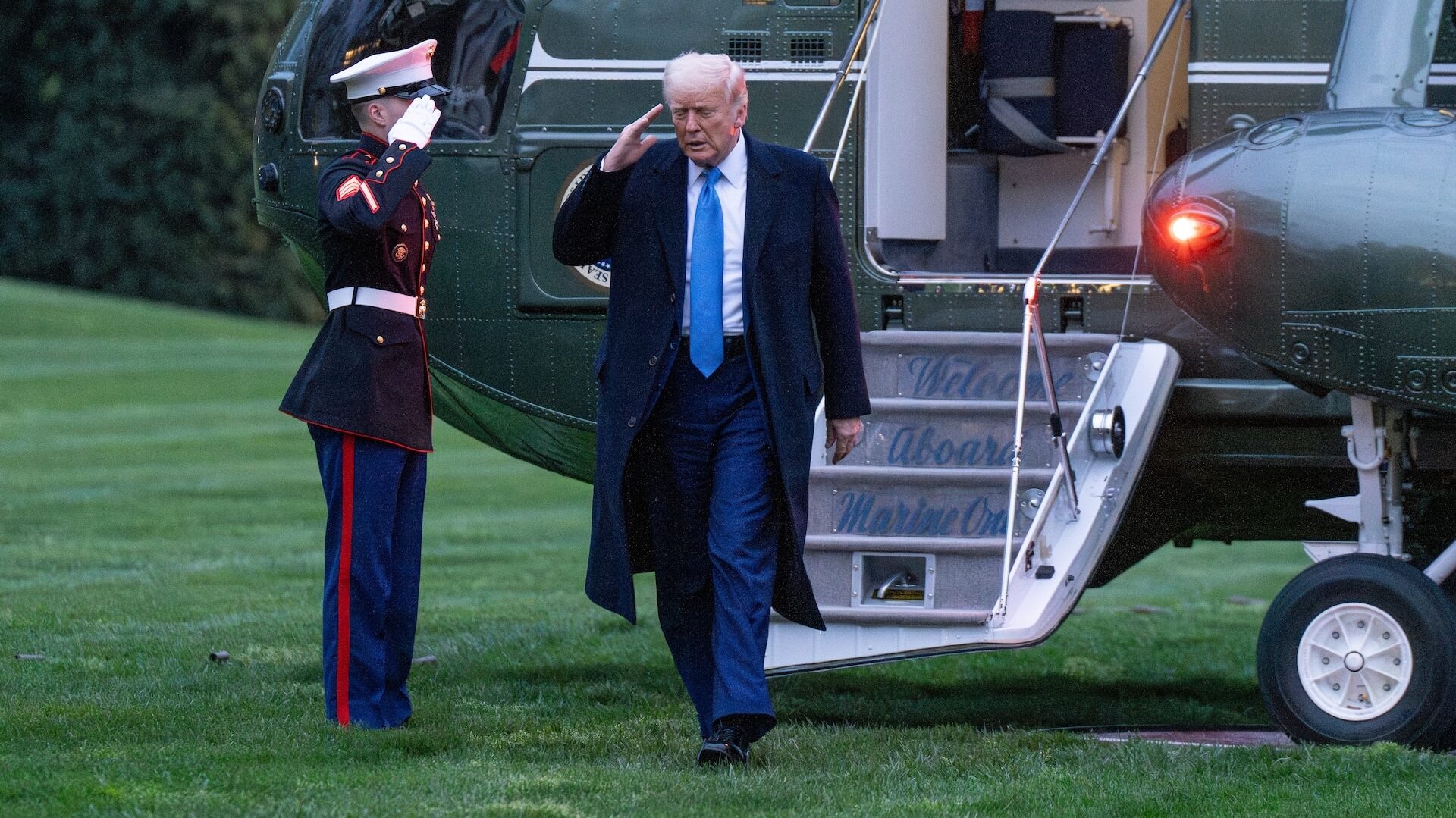 Дональд Трамп