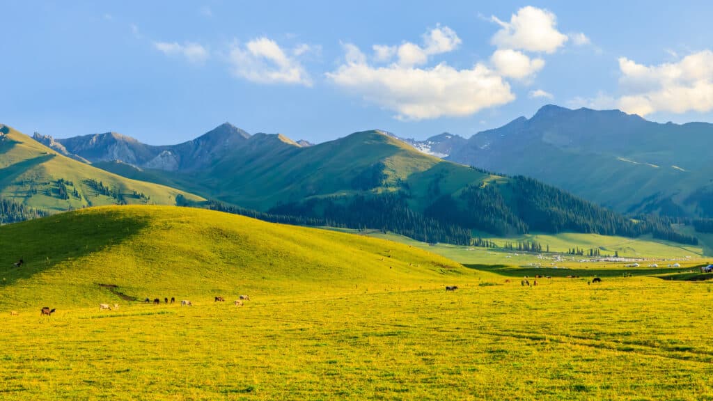 Кульджа