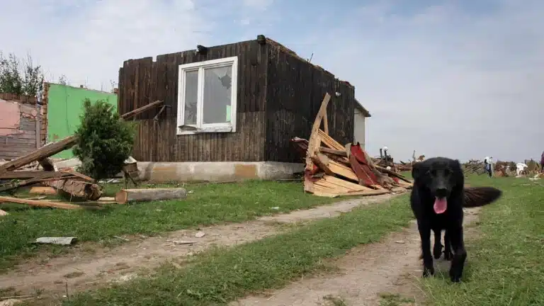 30 000 человек остались без электричества на юге Польши после сильных штормов