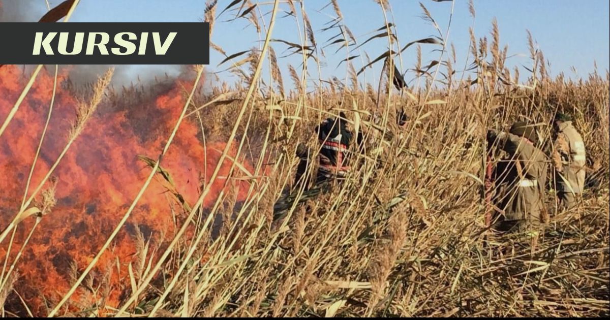 Орынбордағы үй порносы: бейнелер мен фотолар