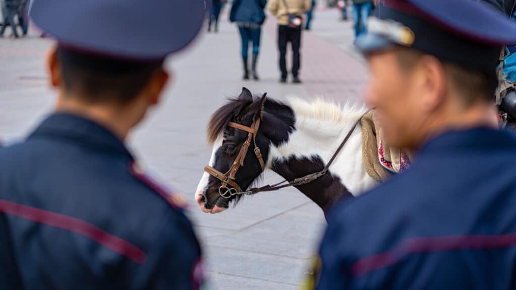Пони вместе с полицейскими учил костанайцев дорожной безопасности