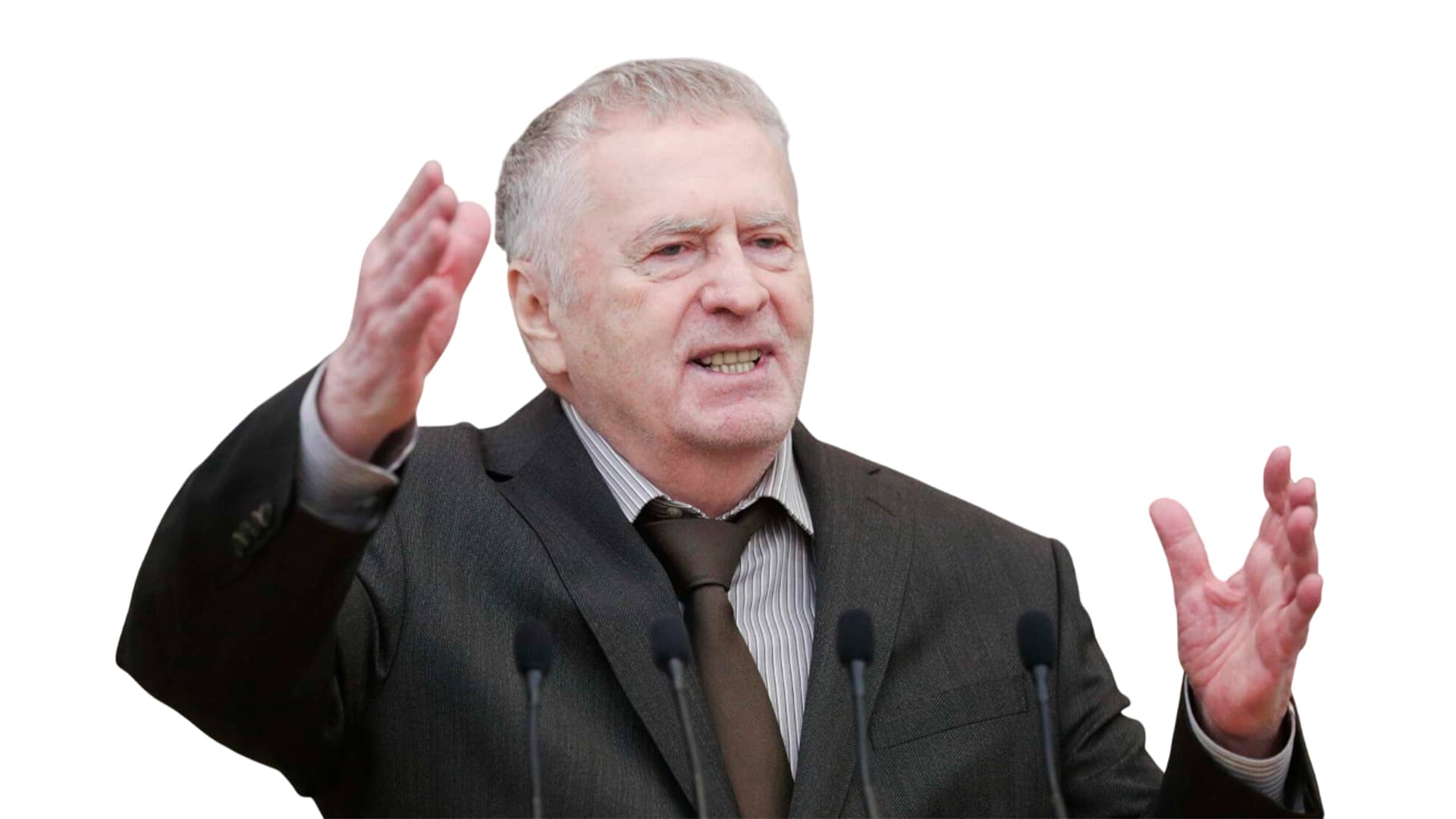 Владимир Жириновский
