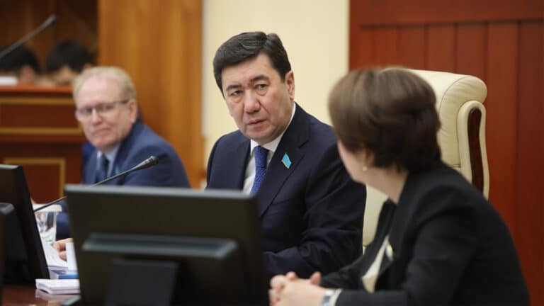 Кошанов считает, что правительство медленно работает с законами 