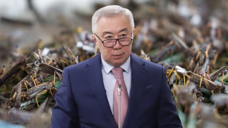 Жумангарин разозлился, когда ему напомнили о халяльной саранче