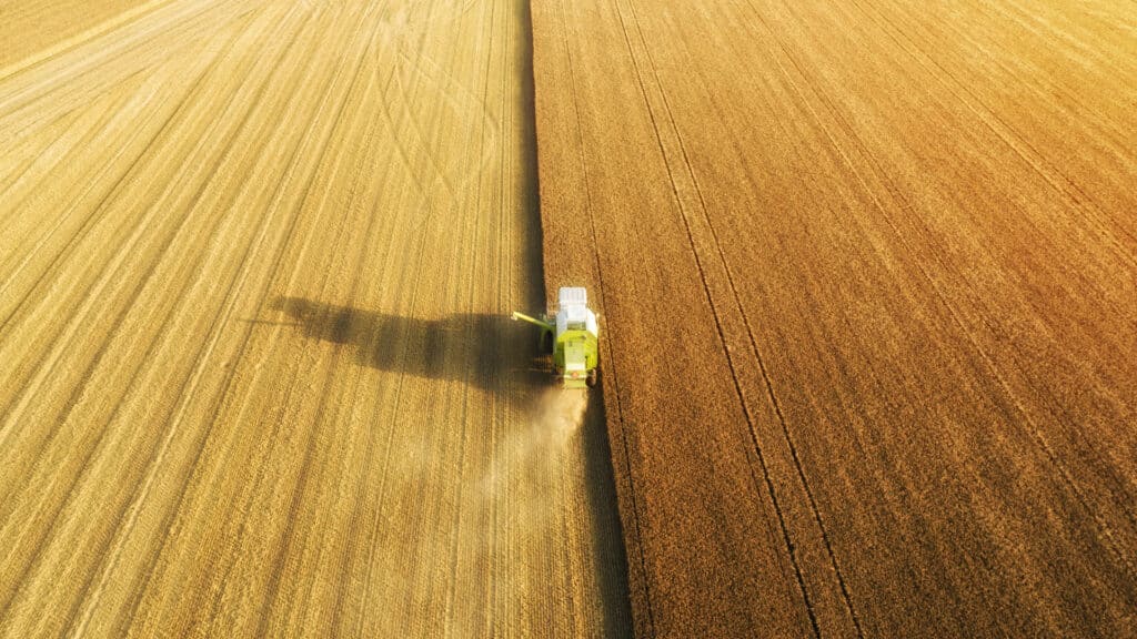 Казахстан возместил производителям зерна 2,8 млрд тенге