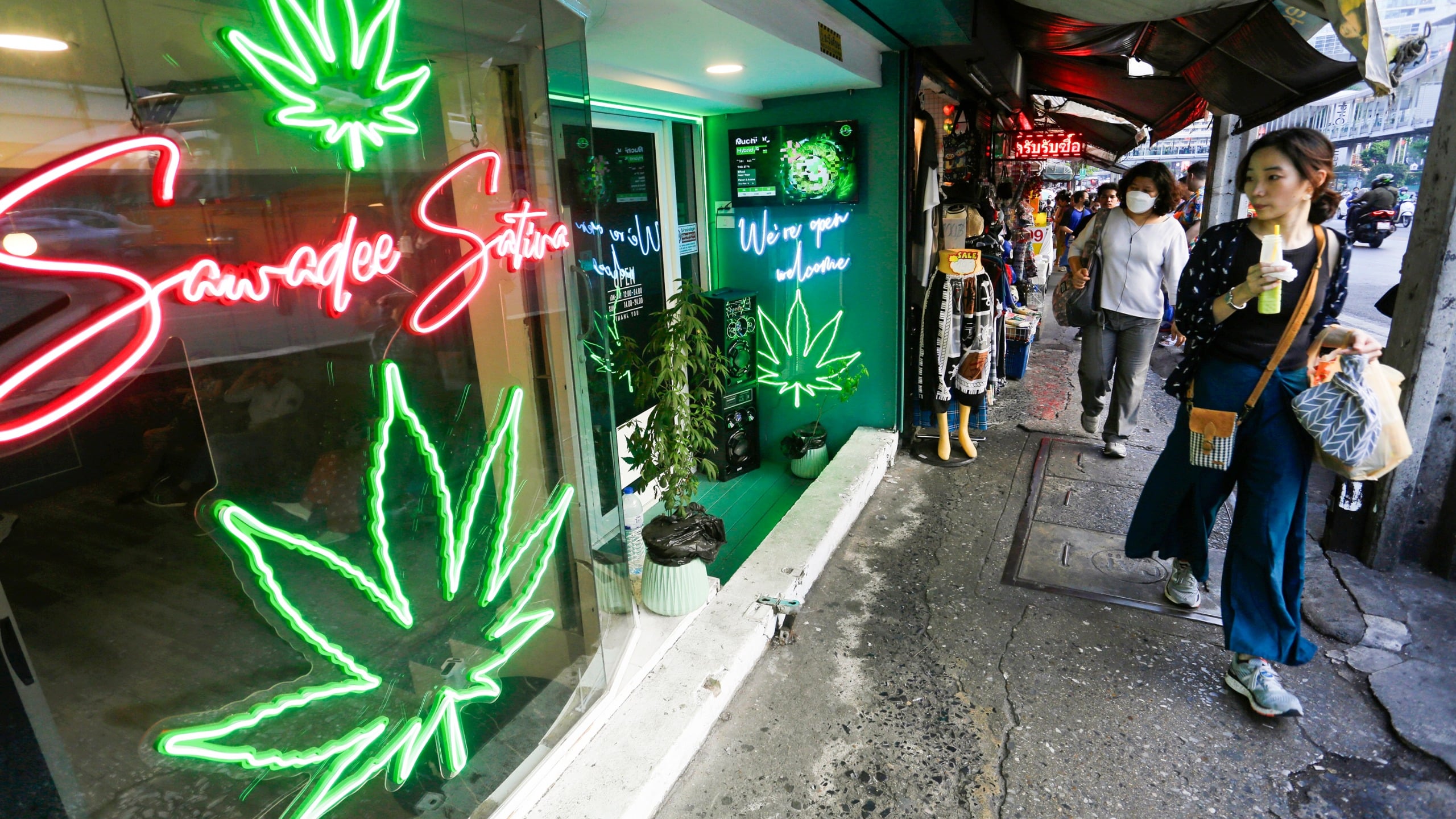 Cannabis
