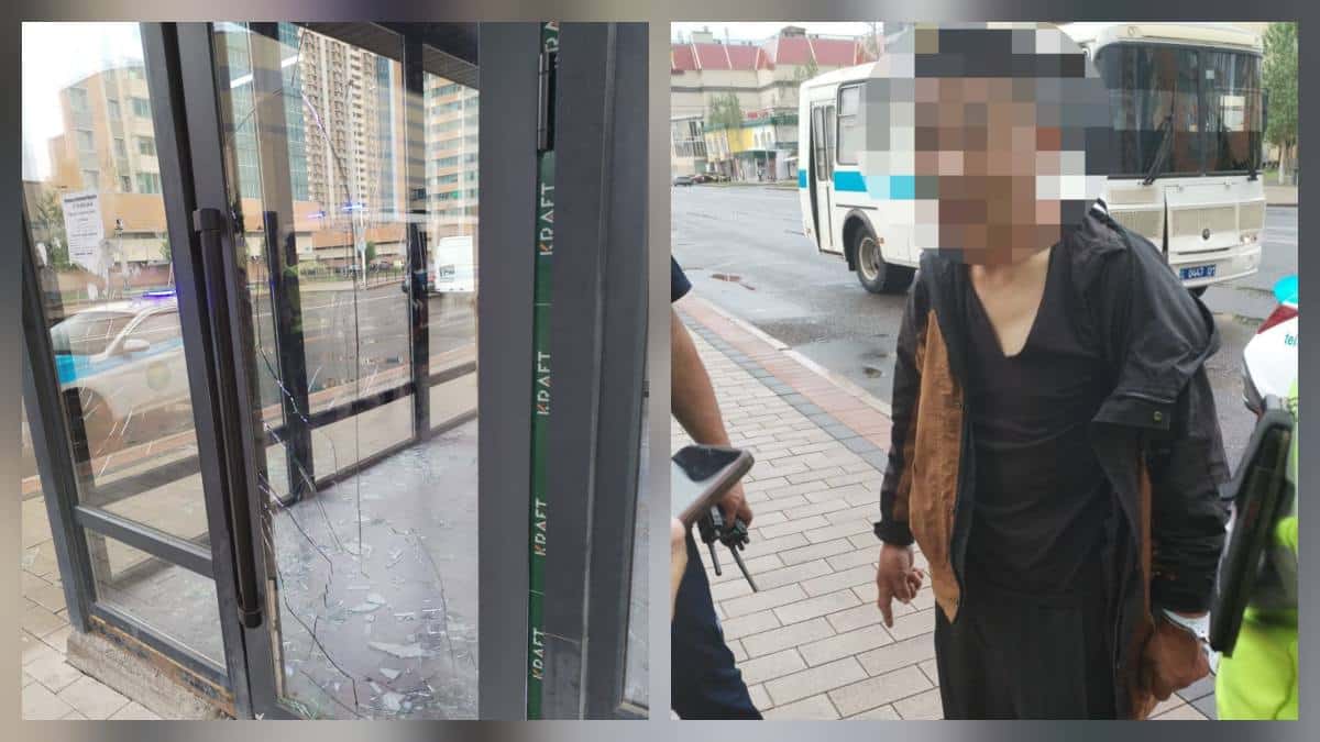 разбил остановку