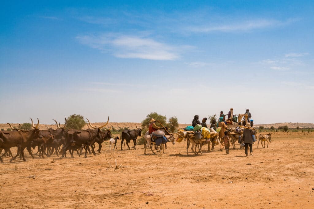 Около 100 человек убили и сожгли заживо в Нигерии
