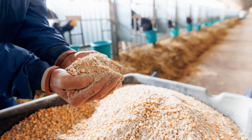 В Жамбылской области построят завод по производству кормов за 980 млн