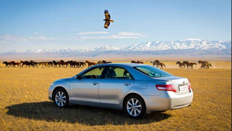 Toyota қазақтың көлігіне айналды және оның сегіз себебі